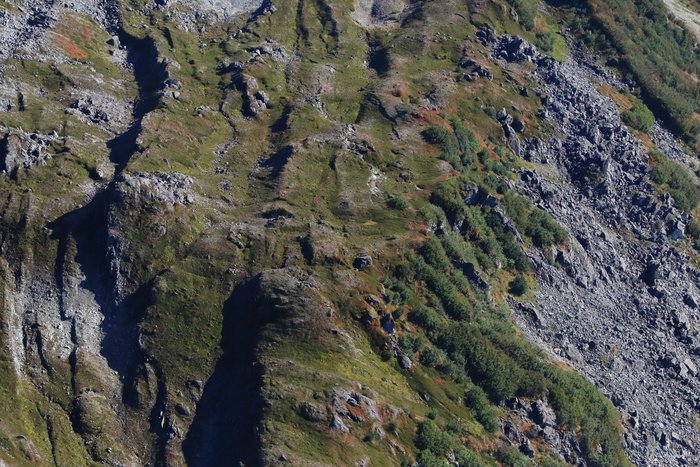 Complex fractures and steps in the ground surface show that this patch of tundra is unstable, with the potential to collapse into a giant landslide above Columbia Fjord.