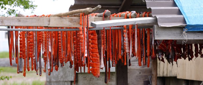 Salmon strips drying in New Stuyahok. 