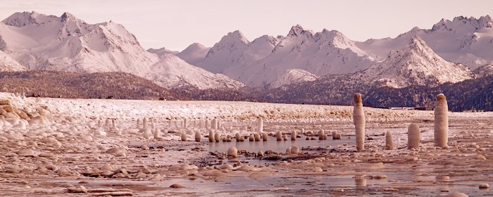Frozen pilings on the Homer Spit.
