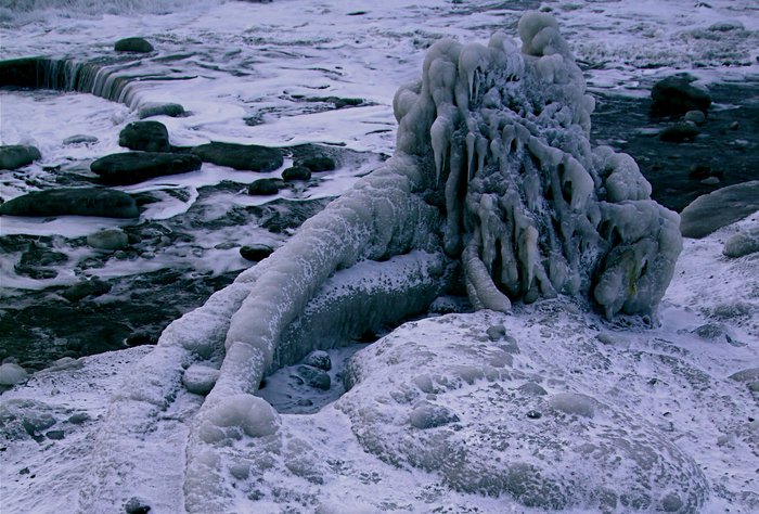 A storm deposited tree, encrusted in ice.