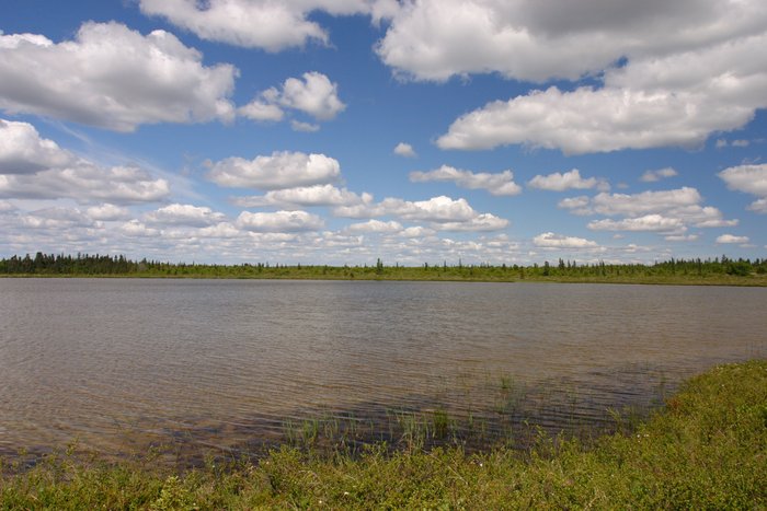 Lake on the tundra in Kvichak Valley.