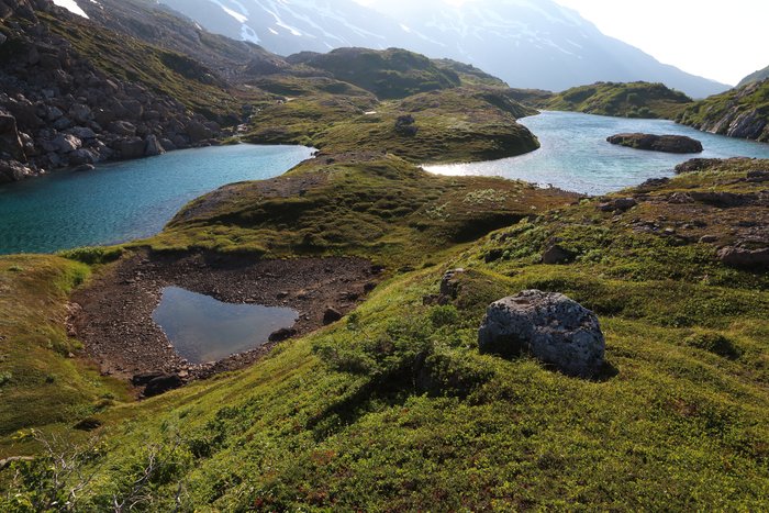 These lakes are connected by only a foot or two of tundra