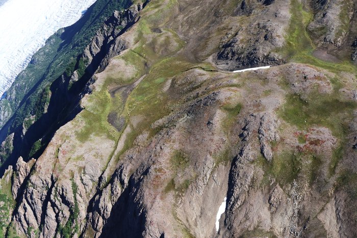 The broad, rolling top of Alpine Ridge above Grewingk Glacier.