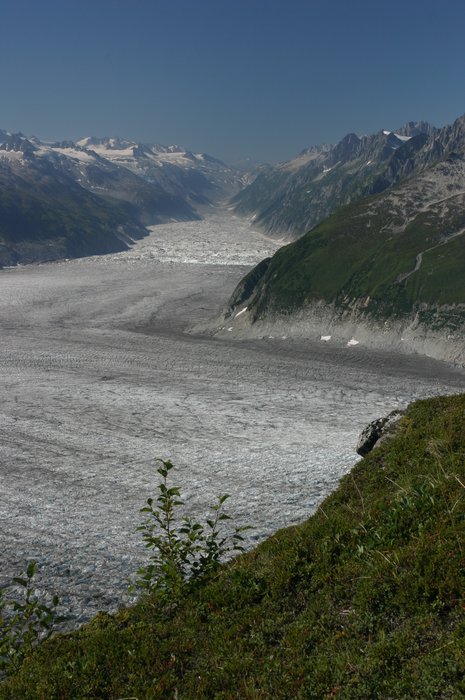 Along the edge of Blockade Glacier, <a href="http://www.groundtruthtrekking.org/Issues/ClimateChange/GlacierRetreatInAlaska.html">bare rock marks the edge where the ice used to reach. 