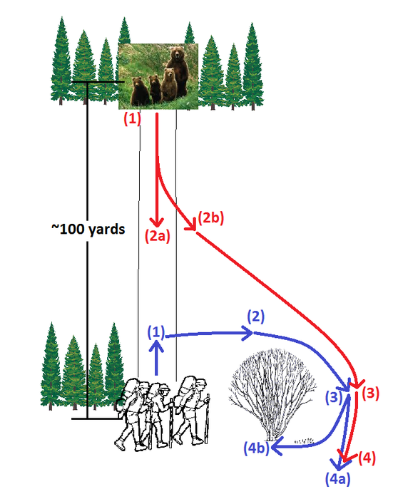 Diagram showing how the bear moved in relation to our group