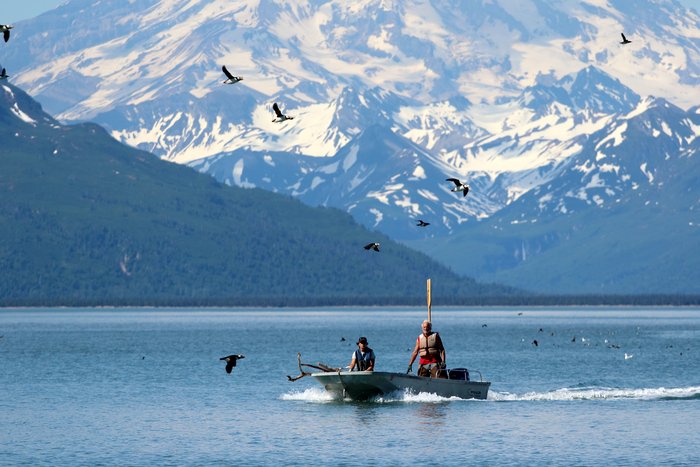 A fishing skiff motors past a crowd of wheeling seabirds
