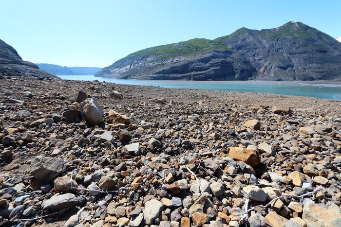 Tsunami-deposited boulders and cobbles in Taan Fjord, Alaska.