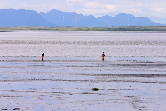 Fishermen picking set nets at low tide in Clark's Point.
