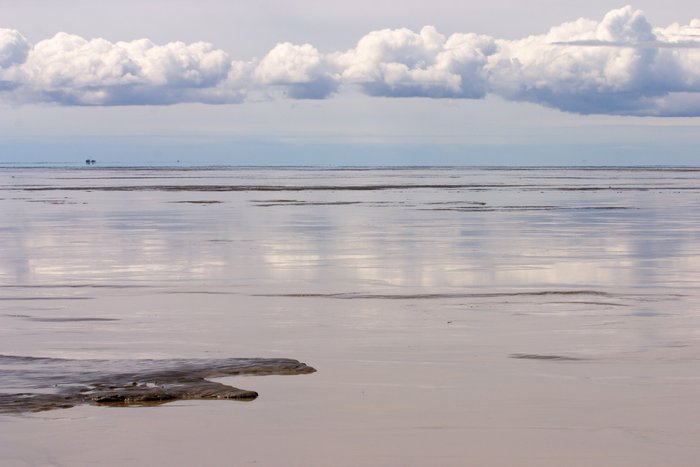  Puffy clouds reflected in the mud flats at low tide.