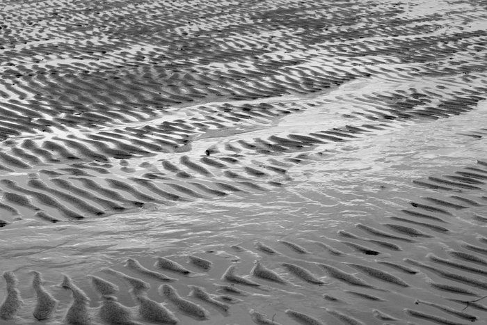Ripples in the mud at low tide.