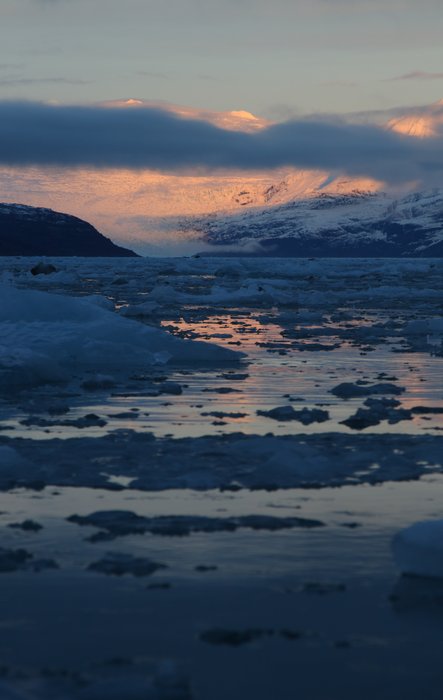 On our fourth attempt, we managed to cross Icy Bay, shoving between bergs in the calm dawn.