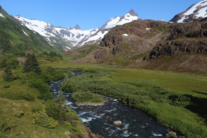 A side creek flows through a meadow in upper Tutka