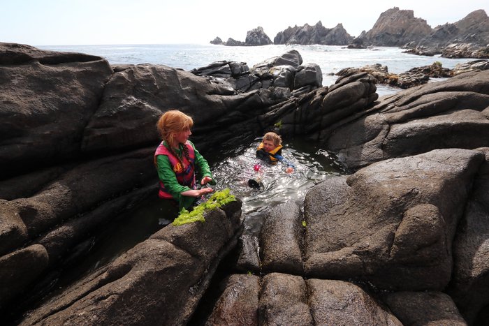 Katmai and Lituya play in a wave-fed tide-pool on the desert coast of Peru.