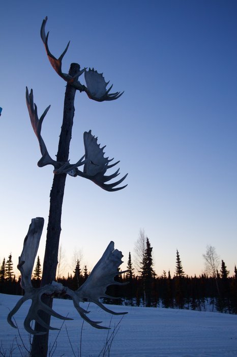 A moose antler sign welcomes visitors in the village of Nikolai.