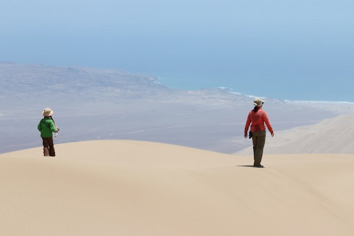 The view from atop this nearly 3000 foot dune of the Peruvian coastal desert 