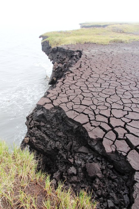 A drained lake cracks as it dries, teetering on the edge of permafrost overhanging the arctic ocean.