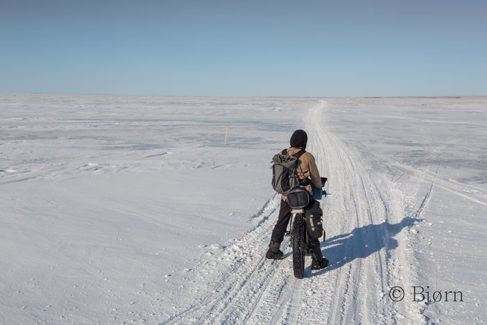 The line between frozen tundra and sea ice is often difficult to discern 