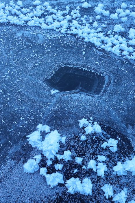 Water that is slightly warmer than freezing keeps this little hole open in the ice near the outlet stream from Grewingk Lake.