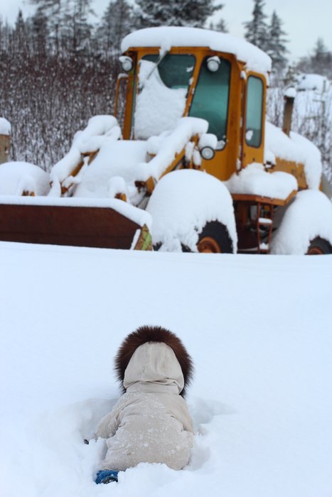 Katmai's love of big construction equipment spurs him to brave the deep snow.