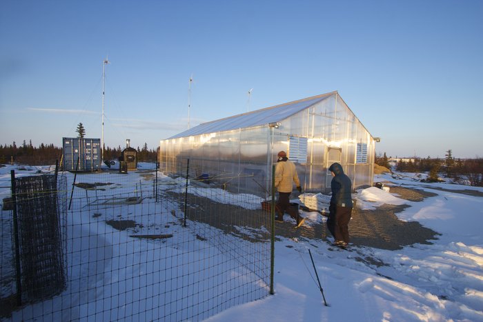 A community greenhouse and wind turbines in Igiugig, Alaska