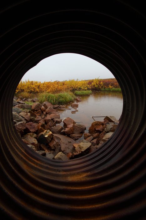 A tundra stream, as viewed from a culvert.