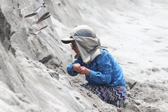 Katmai undermines a sand bank to hasten its collapse near Challa, Peru.