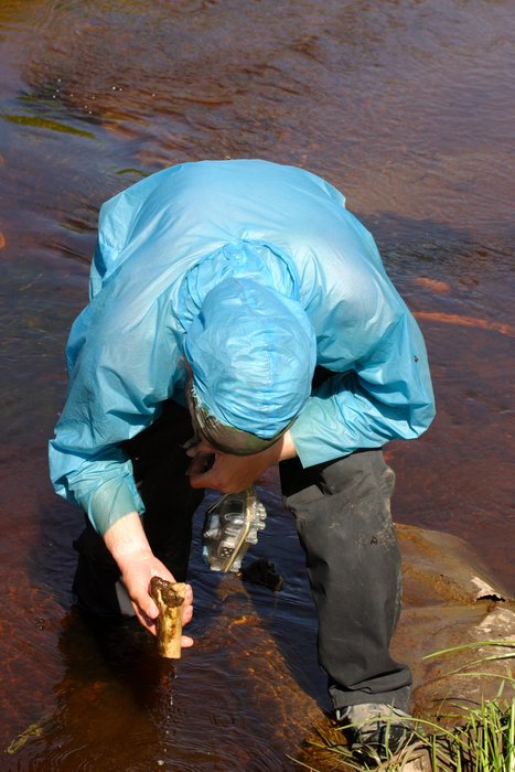 Tom fishing a bone out of Levelock Creek. 