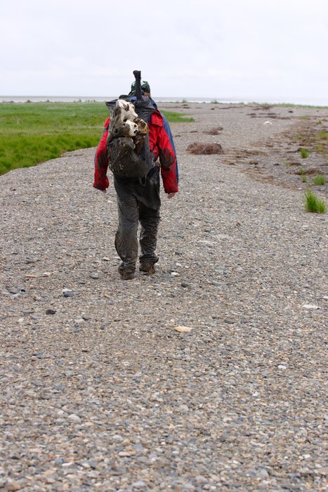 Tom walking along gravel left by storms along the lower Kvichak River. 