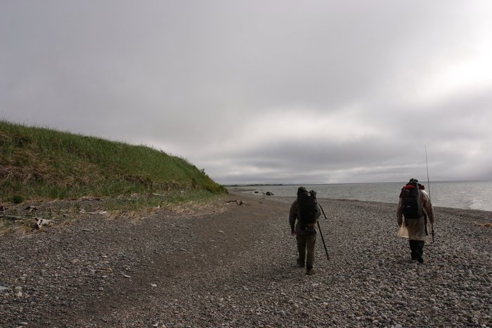 Walking on the gravel beach of Lake Iliamna, under a morning overcast sky.