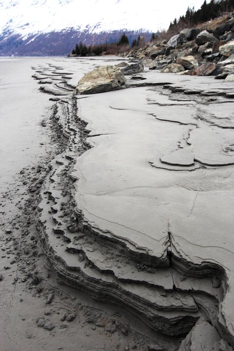 Beach erosion exposes layers of mud left by successive tides (tidal rhythmites) along Turnagain Arm.