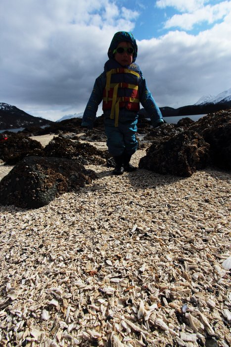 Lituya stands above barnacle gravel.