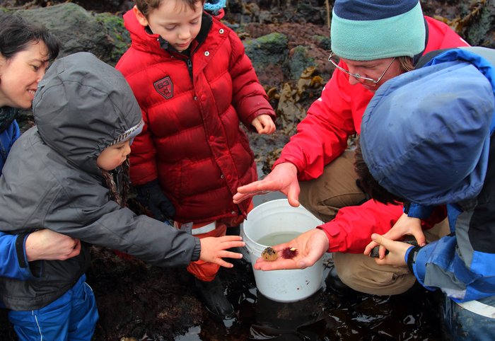 A group of children compare a red and green sea urchin, part of our 2012 Easter on the Beach celebration.