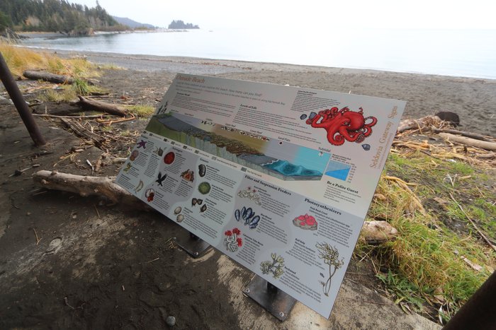 A sign depicting intertidal ecosystems near Seldovia, Alaska.