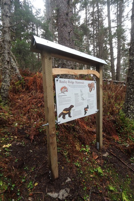 High on a narrow hiking trail near Seldovia Alaska, this sign provides information on some of the lesser known inhabitants of the region.