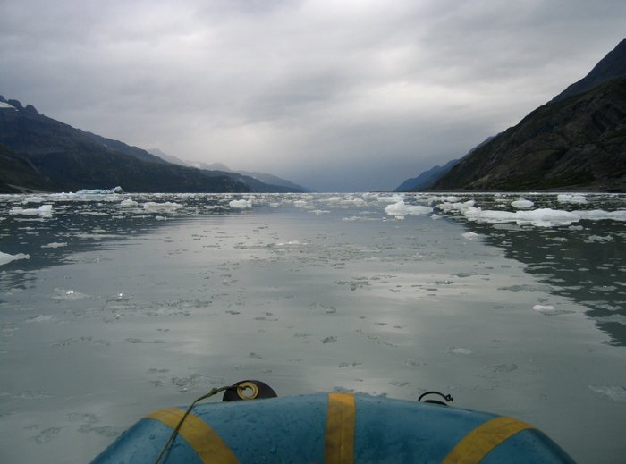 Once a <a href="http://www.groundtruthtrekking.org/Issues/ClimateChange/GlacierRetreatInAlaska.html">glacier that stretched far down the fjord</a> McCarty glacier has retreated many miles since it was first mapped.