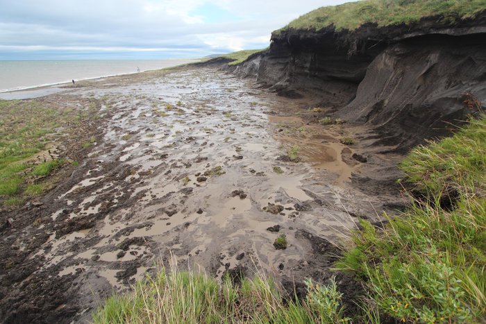 Muddy permafrost melts away, forming a cliff above the Chukchi Sea.  The mud that remains pools and flows.