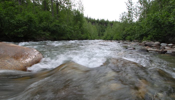 This creek runs along the edge of the proposed <a href="http://www.groundtruthtrekking.org/Issues/AlaskaCoal/WishboneHillCoalMine.html">Wishbone Hill Coal Mine</a>.  Salmon spawning habitat here has recently been restored after it was destroyed by earlier coal mining decades ago.