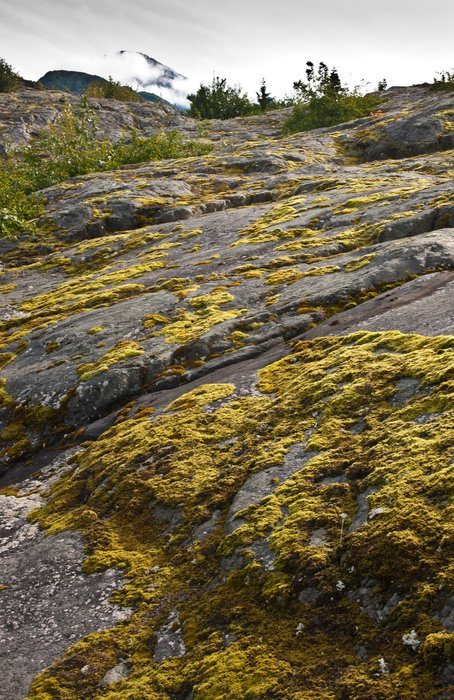 Moss thrives on the rocks near Grewinck