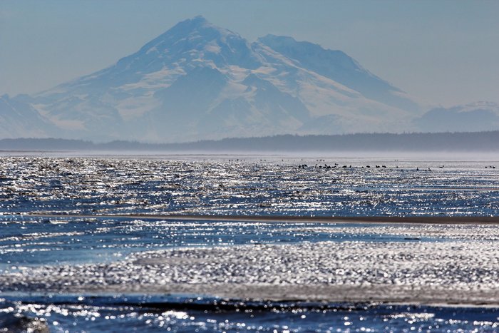 Redoubt Volcano rises over the misty mudflats