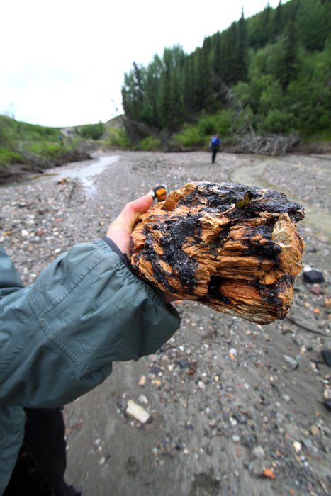 This rock is partially melted and stained red and black, probably by a <a href="http://www.groundtruthtrekking.org/Issues/AlaskaCoal/CoalFires.html">natural coal fire</a> in a seam near it.