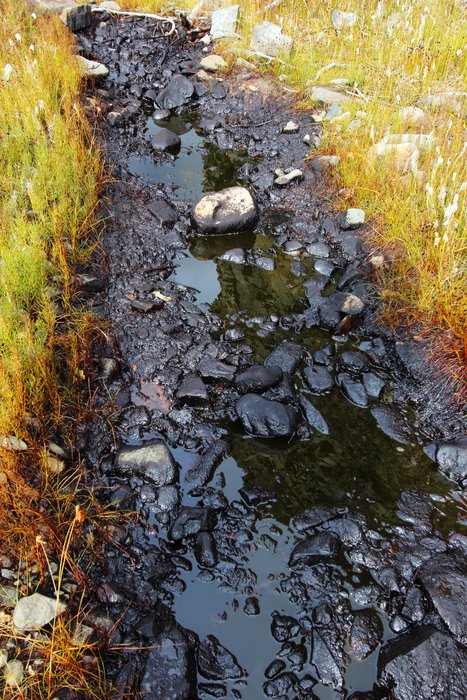 Black oil seeps up into this little channel, then runs downstream.