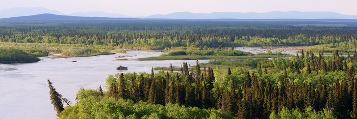 Confluence of the Nushagak and Mulchatna Rivers, from the bluffs of the Nushagak. 