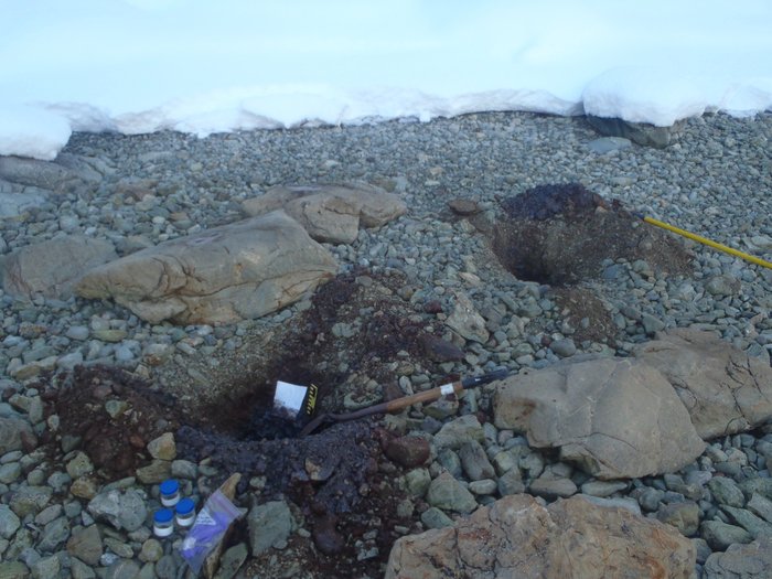 After 25 years, oil is still apparent in test pits on beaches in Prince William Sound.
