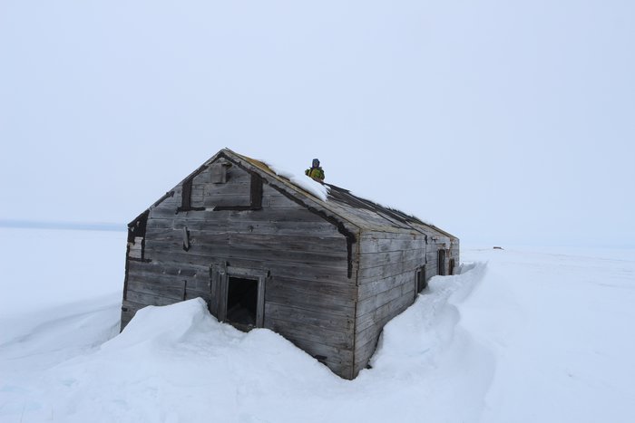 Many cabins along the Chukchi coast are no longer maintained, with missing windows, doors, and huge snow drifts inside.  They still provide some protection from the wind, a view over the flat land, and interesting exploration for kids.