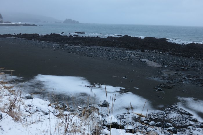 In February 2015, the sand and gravel eroded away from this patch of beach to reveal soil and bedrock.