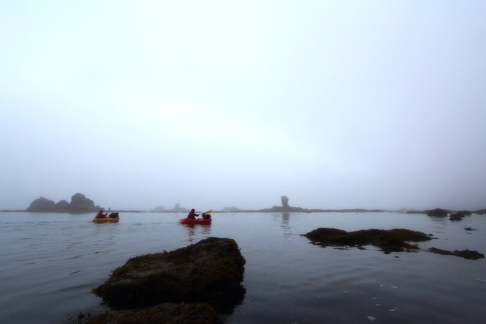 Paddling fog and sea stacks