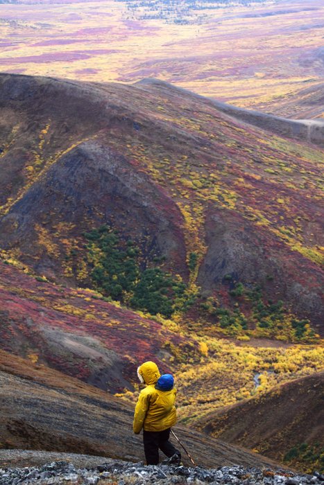Erin, carrying Katmai, descends from a mountain peak toward a landscape striped in fall colors