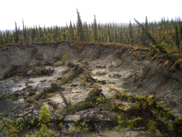 Like a crater from a bomb, this hole of melting permafrost interrupted the smooth forest around it.