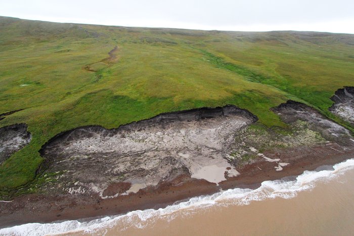 We surveyed this rapidly expanding slump, one of hundreds that spanned over ten miles of coast.  Three years ago it covered only 1/3 as large an area.