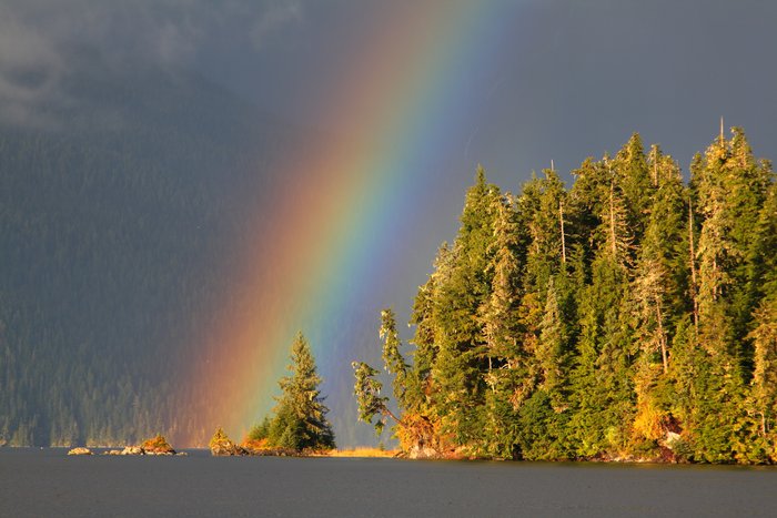 Rainbow touches down in the Tongass National Forest